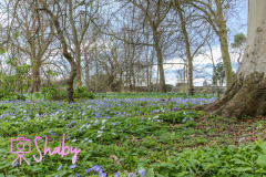 2024.03.18_Botanic_Gardens_Glasnevin-124-36-scaled