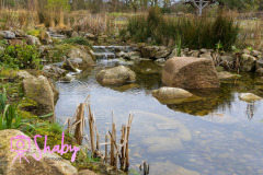 2024.03.18_Botanic_Gardens_Glasnevin-144-Edit-37-scaled