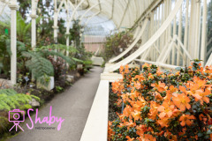 2024.03.18_Botanic_Gardens_Glasnevin-15-16-scaled