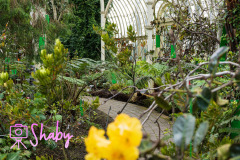 2024.03.18_Botanic_Gardens_Glasnevin-16-17-scaled