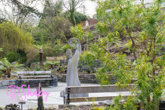2024.03.18_Botanic_Gardens_Glasnevin-18-18-scaled
