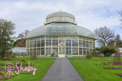2024.03.18_Botanic_Gardens_Glasnevin-2-11-scaled