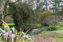 2024.03.18_Botanic_Gardens_Glasnevin-22-20-scaled
