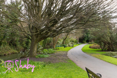 2024.03.18_Botanic_Gardens_Glasnevin-26-22-scaled