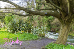 2024.03.18_Botanic_Gardens_Glasnevin-31-24-scaled