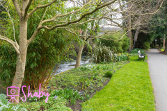 2024.03.18_Botanic_Gardens_Glasnevin-32-25-scaled