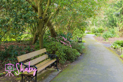 2024.03.18_Botanic_Gardens_Glasnevin-34-26-scaled