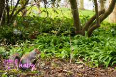 2024.03.18_Botanic_Gardens_Glasnevin-99-33-scaled