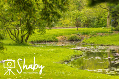 Botanic_gardens_wildlife-9880-12-scaled