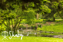 Botanic_gardens_wildlife-9905-15-scaled