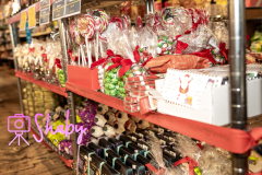 20231217-20231217-2E7A5826-Enhanced-NR-Shaby_Photography