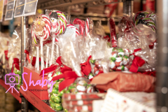 20231217-20231217-2E7A5827-Shaby_Photography