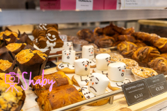 20231217-20231217-2E7A5883-Shaby_Photography