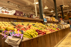 20231217-20231217-2E7A5926-Shaby_Photography