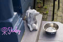 Kinsale, Cork, Ireland. October 2023