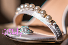 20230816-2E7A7640-Shaby_Photography
