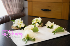 20230817-2E7A7829-11-Shaby_Photography