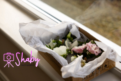 20231028-20231028-2E7A3683-Shaby_Photography