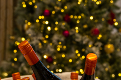 20231230-20231230-2E7A6637-Enhanced-NR-Shaby_Photography