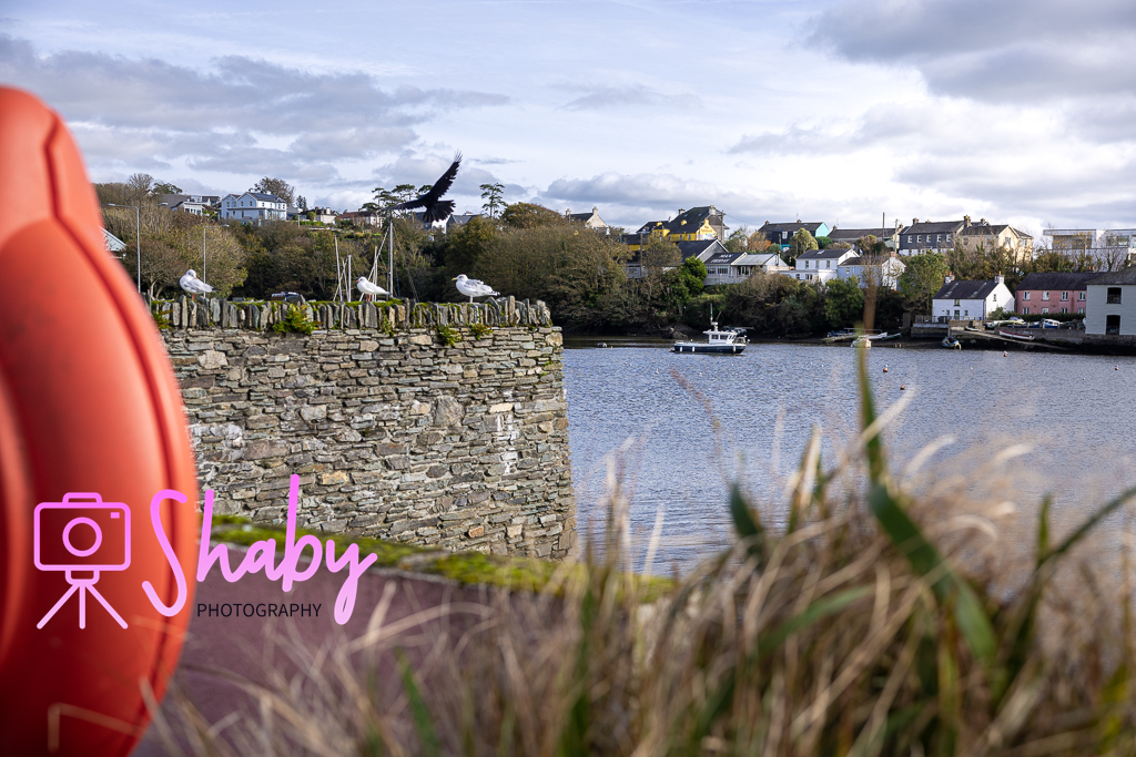 Kinsale, Cork, Ireland. October 2023
