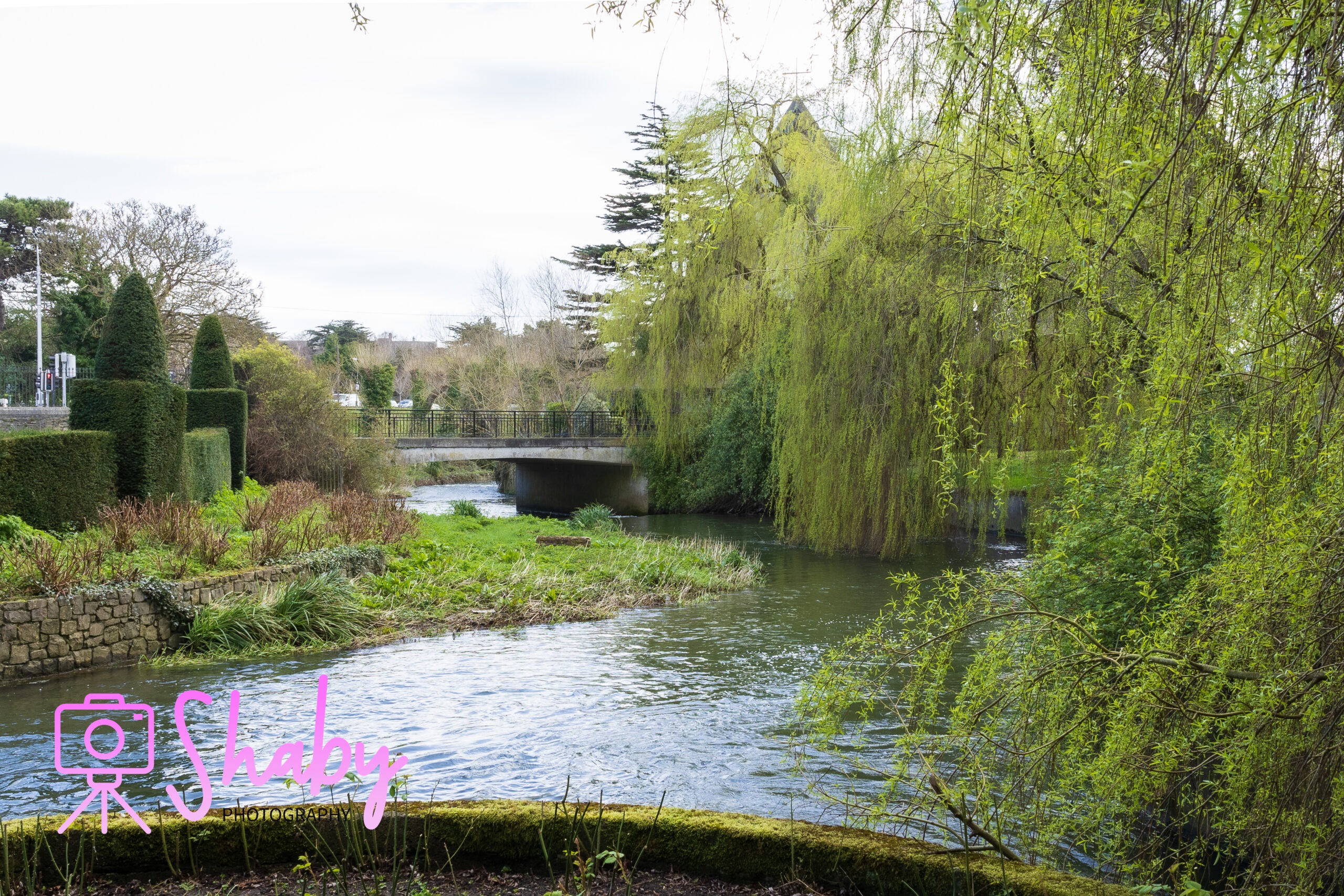 Serene river winding through the National Botanic Gardens in Glasnevin, Dublin, with lush trees and diverse plant life adorning its banks