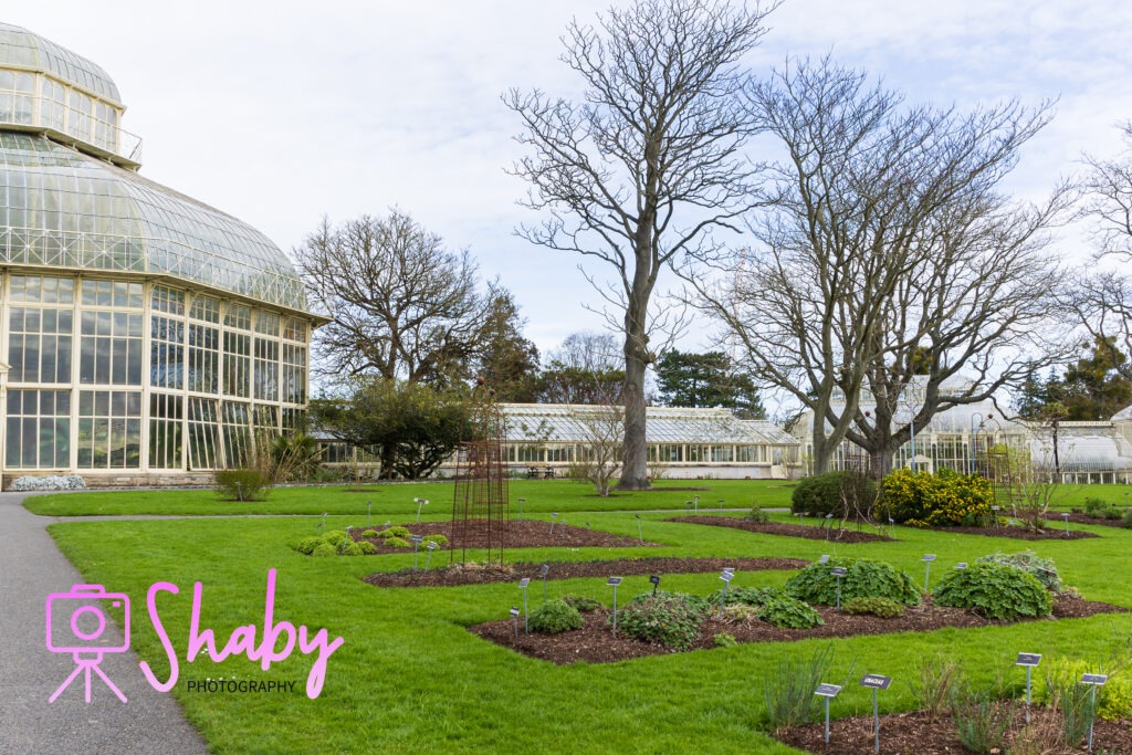 Victorian Palm House at National Botanic Gardens, Dublin, Ireland - historic glasshouse with lush tropical palms under a clear blue sky.