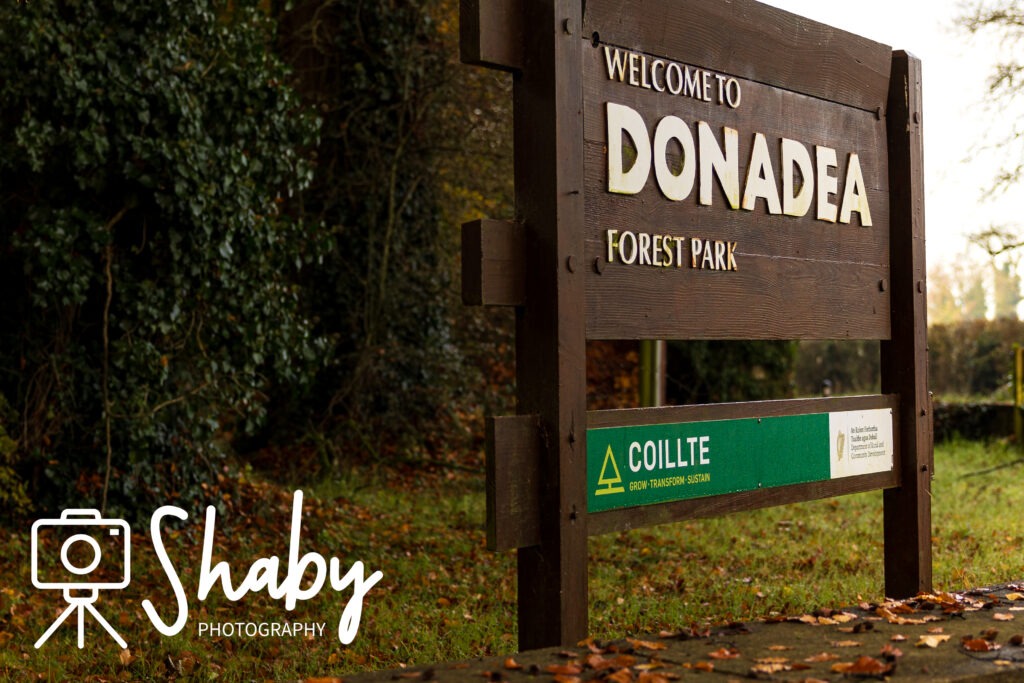 Stunning photograph captured by Shaby Photography, featuring the serene beauty of Donadea Forest in Ireland, showcasing lush greenery, tranquil lake views, and historic ruins, perfect for nature enthusiasts and travel lovers exploring Irish landscapes